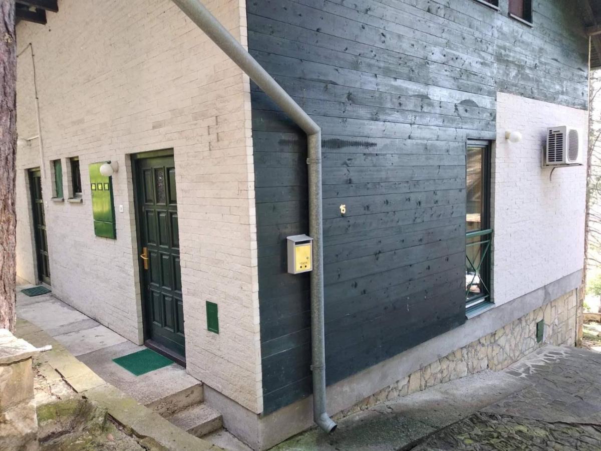 Zeleni Raj Villa Vrnjacka Banja Exterior photo
